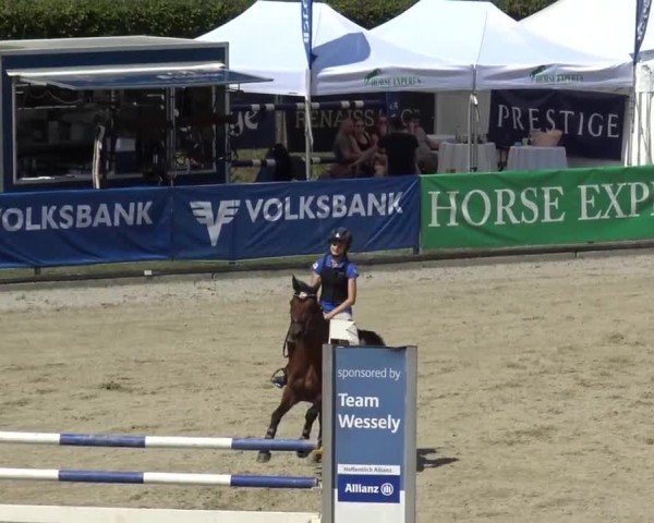 Reitturnier Piber 2023