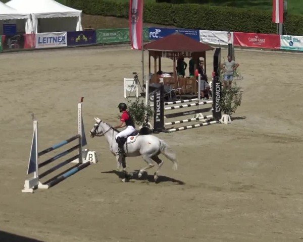 Reitturnier Piber 2023