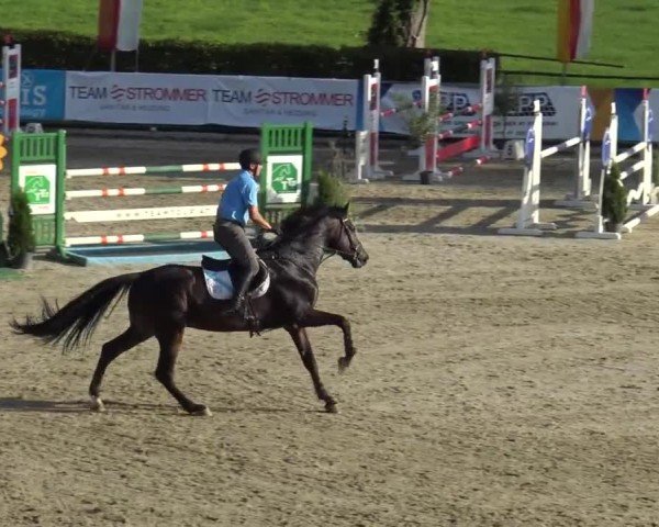 Reitturnier Piber 2023