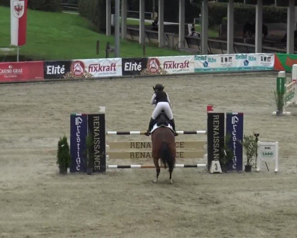 Reitturnier Piber 2023