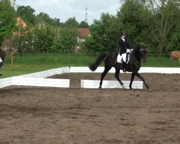 Lienen Dressur und Springturnier 2012