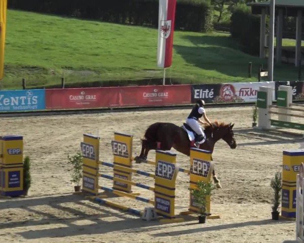 Reitturnier Piber 2023