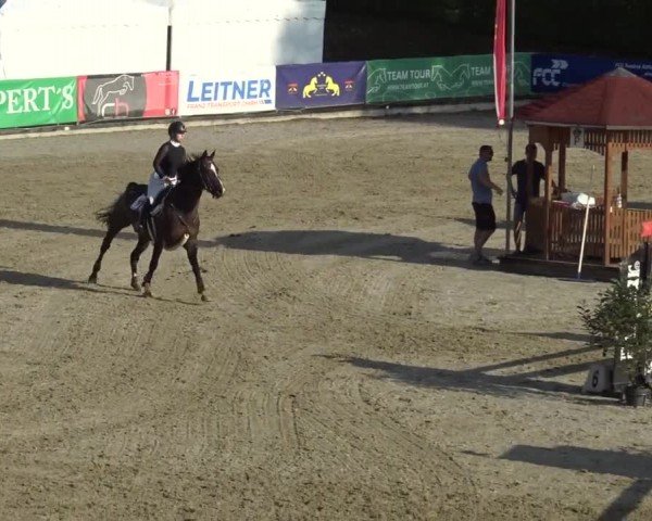 Reitturnier Piber 2023