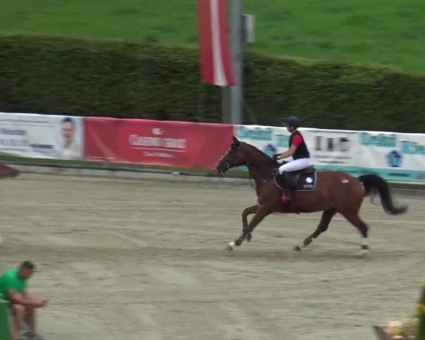 Reitturnier Piber 2023