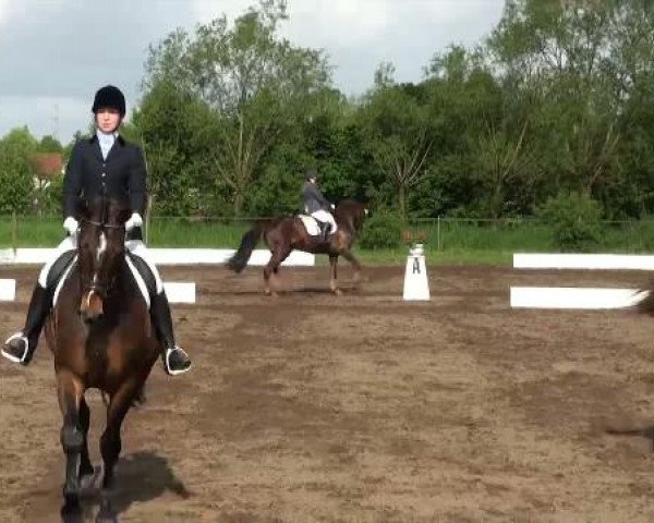 Lienen Dressur und Springturnier 2012