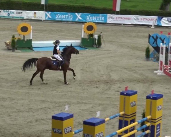 Reitturnier Piber 2023