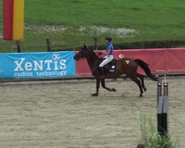 Reitturnier Piber 2023