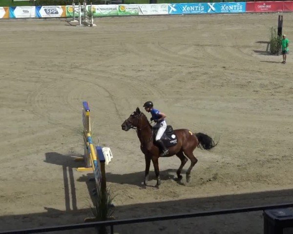 Reitturnier Piber 2023