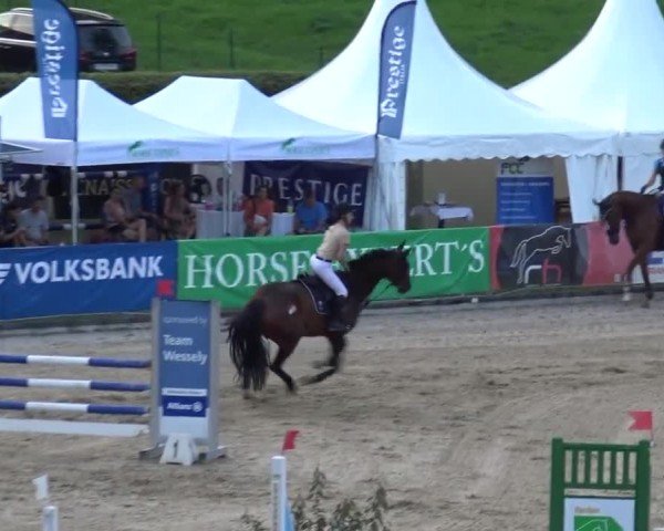 Reitturnier Piber 2023