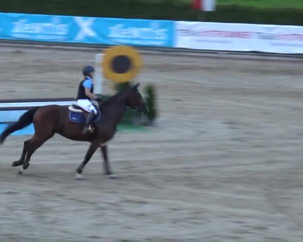 Reitturnier Piber 2023