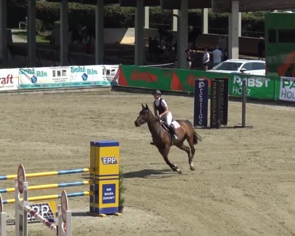 Reitturnier Piber 2023