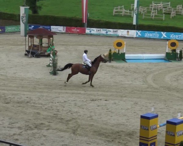 Reitturnier Piber 2023