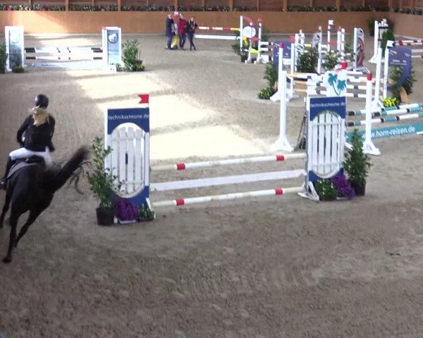 Ponyturnier Xanten - Reitanlage Miss 2021