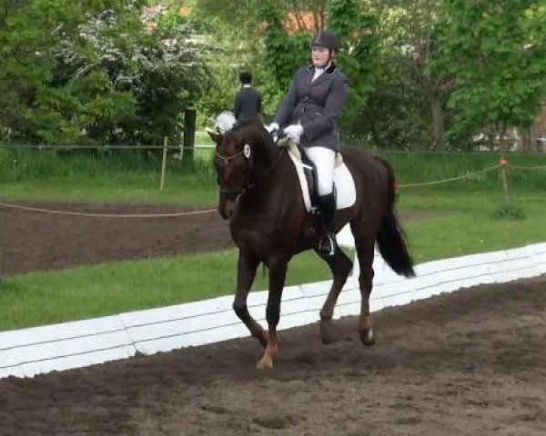 Lienen Dressur und Springturnier 2012