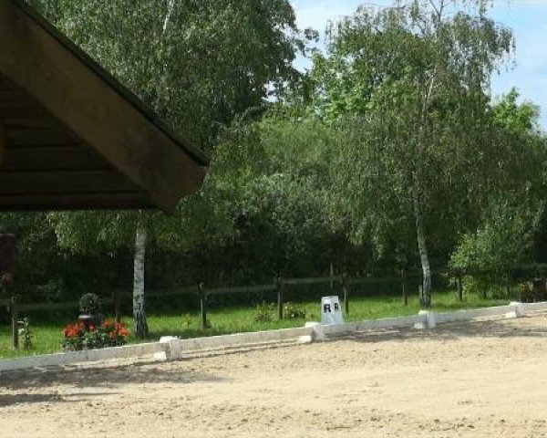 Lienen Dressur und Springturnier 2012
