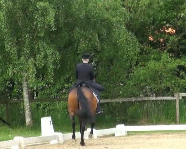 Lienen Dressur und Springturnier 2012