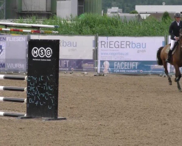 Reitturnier Gniebing-Feldbach 2023