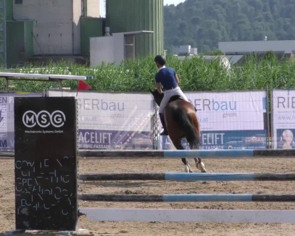 Reitturnier Gniebing-Feldbach 2023
