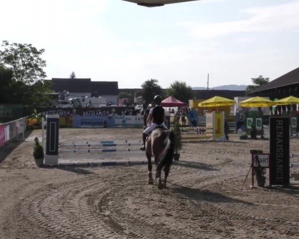 Reitturnier Gniebing-Feldbach 2023