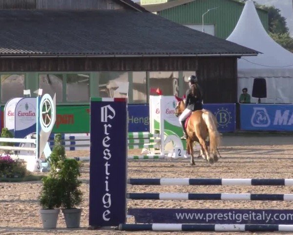 Reitturnier Gniebing-Feldbach 2023