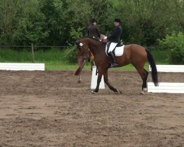 Lienen Dressur und Springturnier 2012