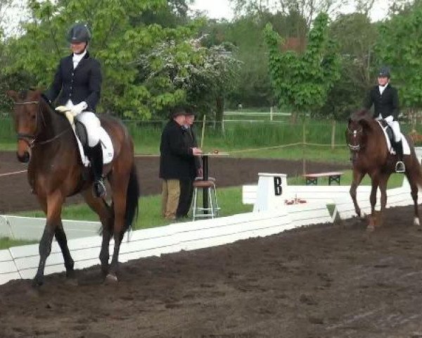 Lienen Dressur und Springturnier 2012