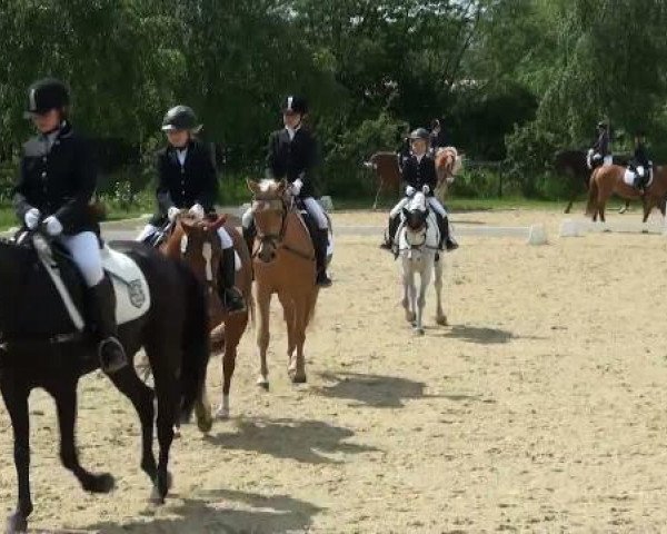 Lienen Dressur und Springturnier 2012
