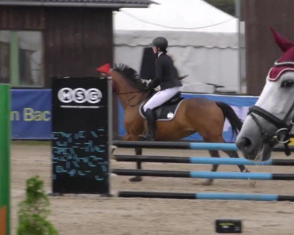 Reitturnier Gniebing-Feldbach 2023