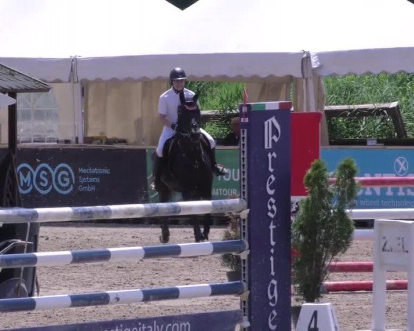 Reitturnier Gniebing-Feldbach 2023