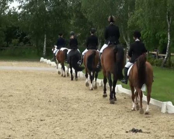 Lienen Dressur und Springturnier 2012