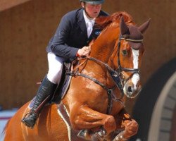 jumper Zeebec (KWPN (Royal Dutch Sporthorse), 2004, from Royal Bravour)