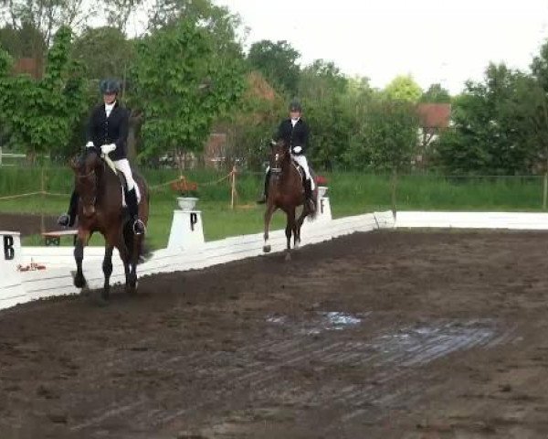 Lienen Dressur und Springturnier 2012