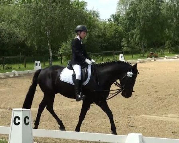 Lienen Dressur und Springturnier 2012