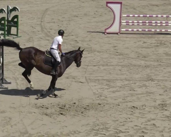 Reitturnier Zeltweg-Farrach 2023