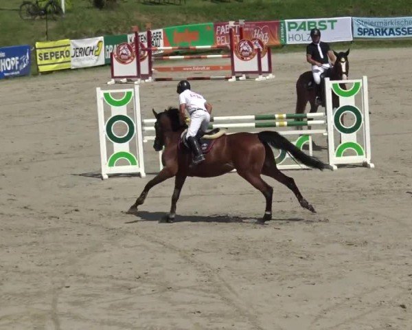 Reitturnier Zeltweg-Farrach 2023