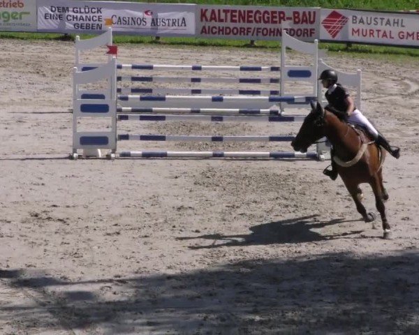 Reitturnier Zeltweg-Farrach 2023