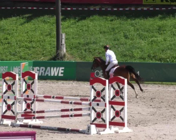 Reitturnier Zeltweg-Farrach 2023