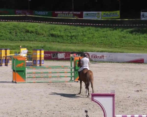Reitturnier Zeltweg-Farrach 2023