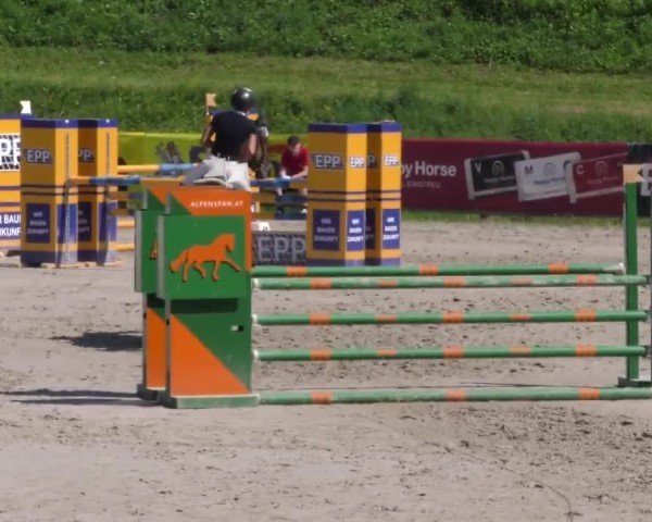 Reitturnier Zeltweg-Farrach 2023