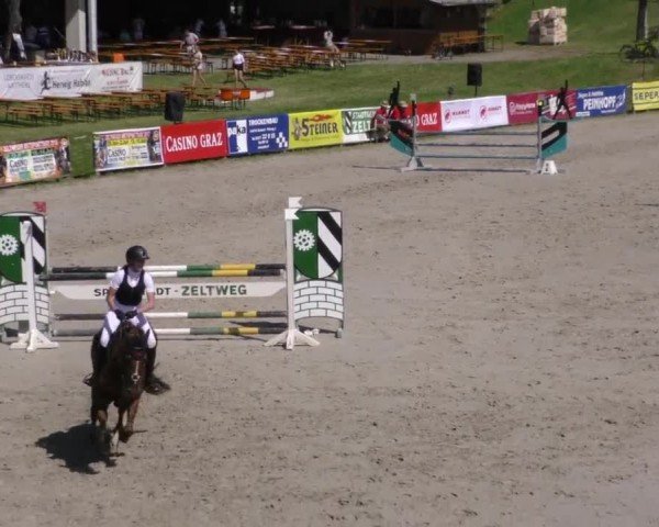Reitturnier Zeltweg-Farrach 2023