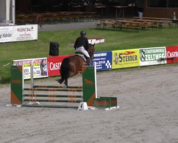 Reitturnier Zeltweg-Farrach 2023