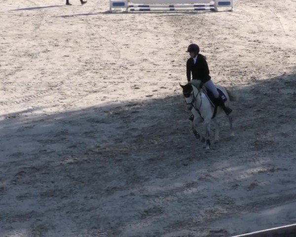 Reitturnier Zeltweg-Farrach 2023