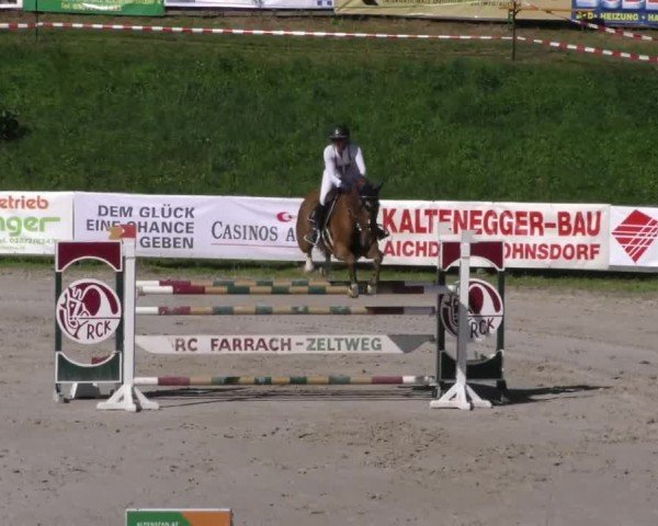 Reitturnier Zeltweg-Farrach 2023