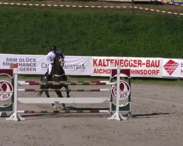 Reitturnier Zeltweg-Farrach 2023