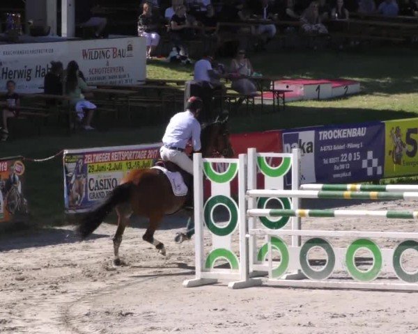 Reitturnier Zeltweg-Farrach 2023