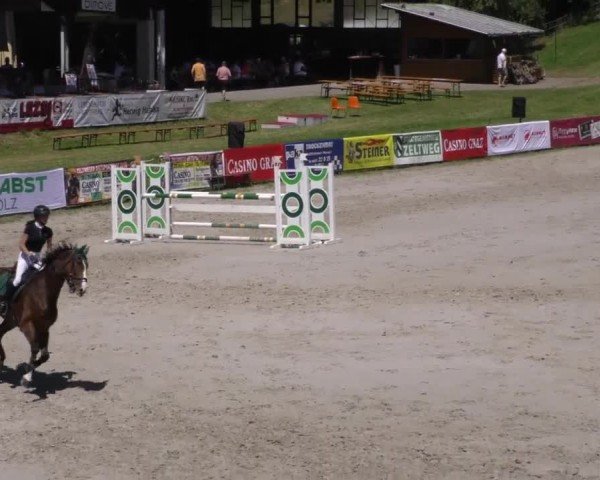 Reitturnier Zeltweg-Farrach 2023