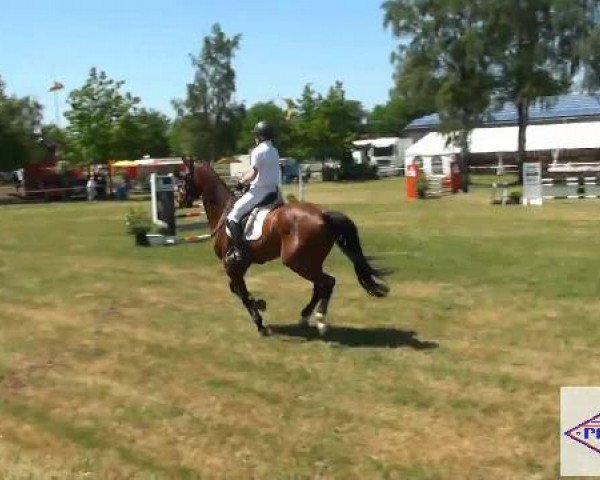 Pfingst-Reitturnier Kreuzkrug-Raddestorf 2012