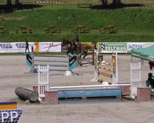 Reitturnier Zeltweg-Farrach 2023