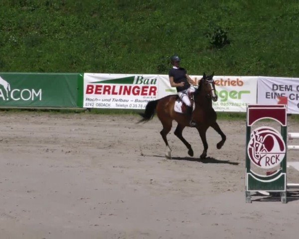 Reitturnier Zeltweg-Farrach 2023
