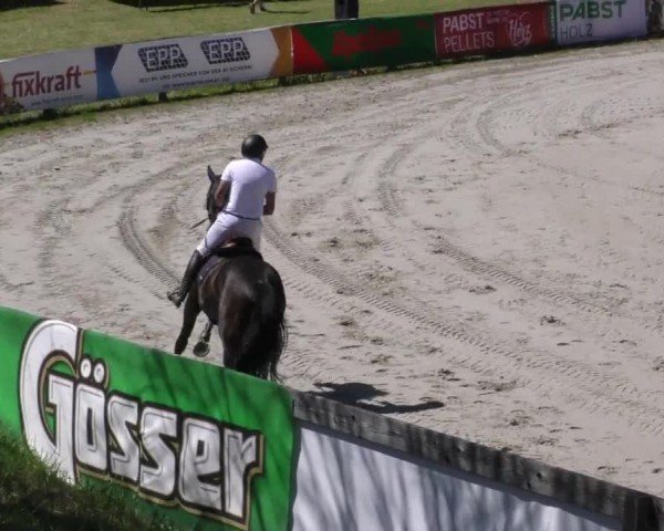 Reitturnier Zeltweg-Farrach 2023